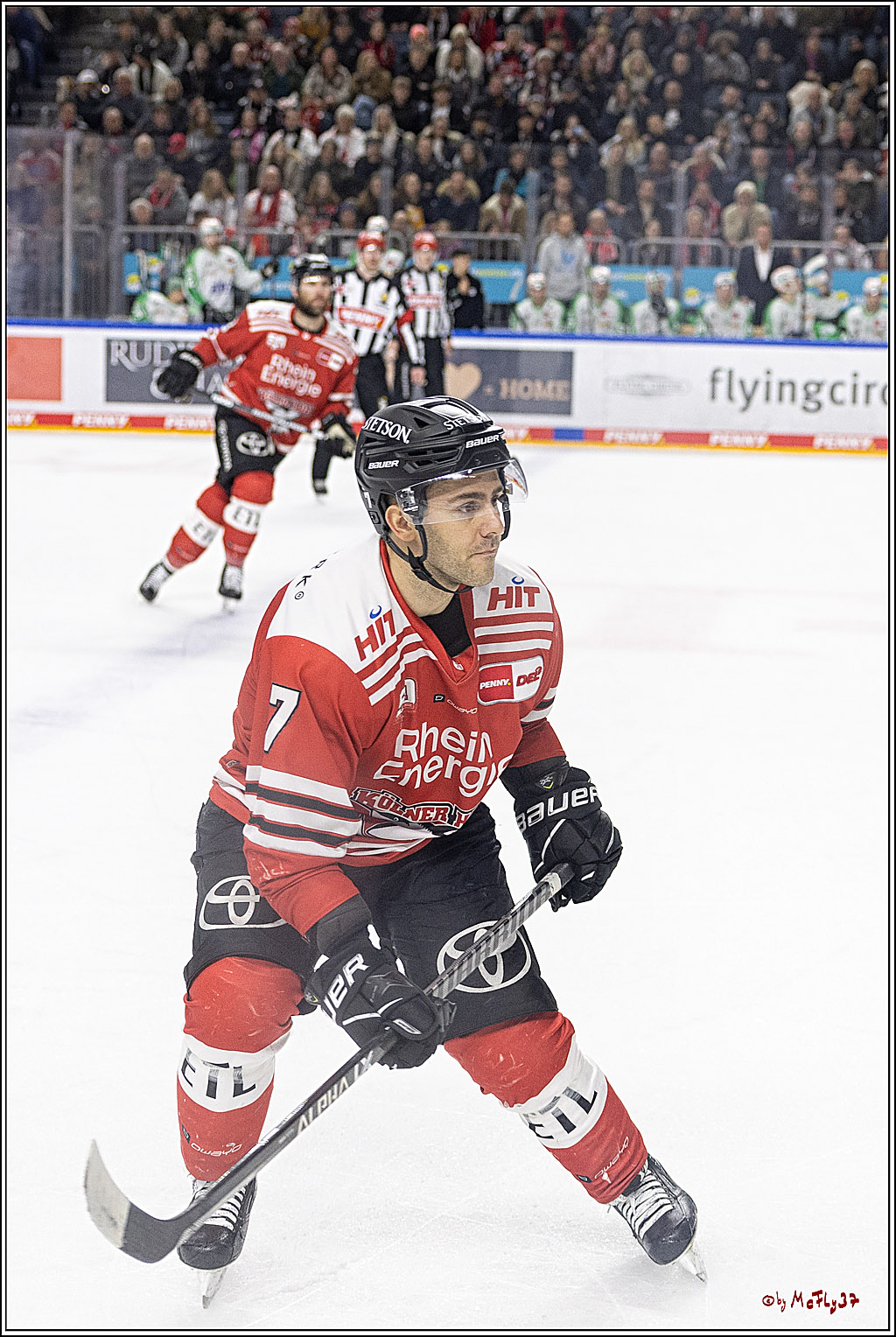 PENNY DEL;  Koelner Haie - Bietigheim Steelers; Koeln, 22.01.2023